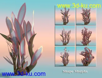 3D打印模型Jepe's WonderPlantZ2的图片