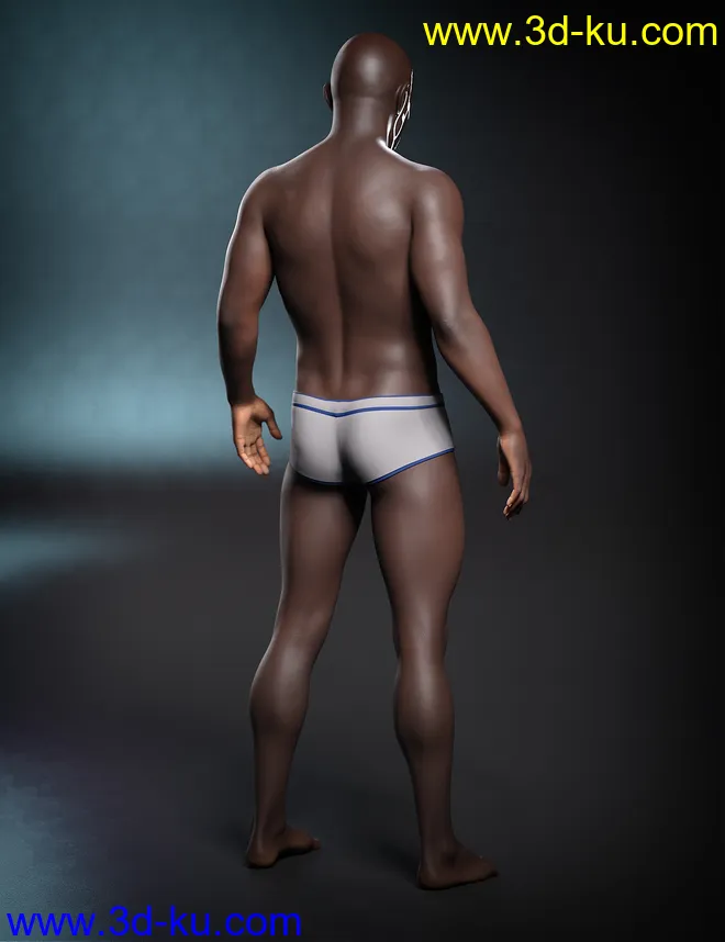 Kola 8.1模型的图片3