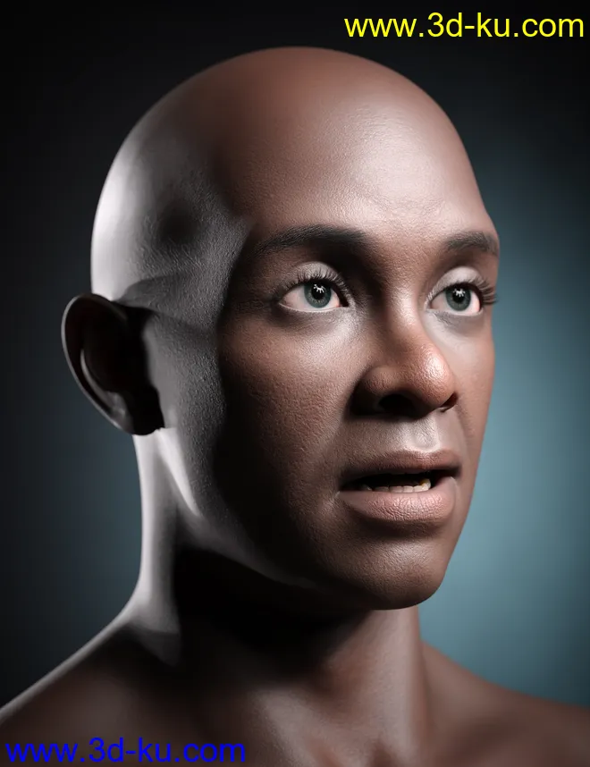 Kola 8.1模型的图片5