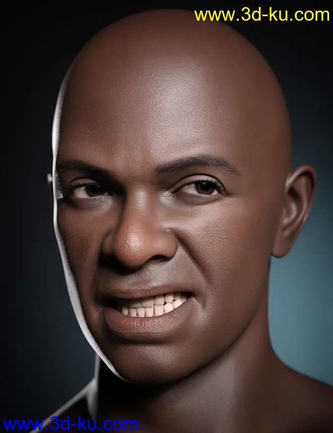 Kola 8.1模型的图片6