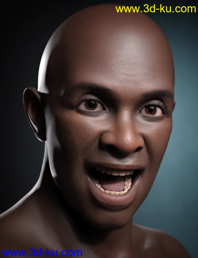 Kola 8.1模型的图片7