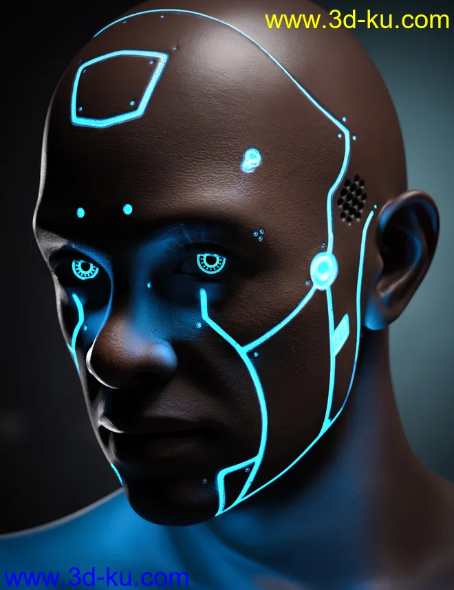 Kola 8.1模型的图片8