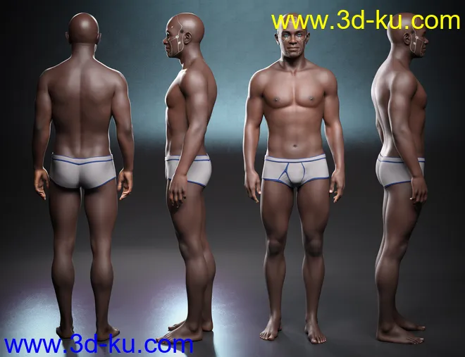 Kola 8.1模型的图片11