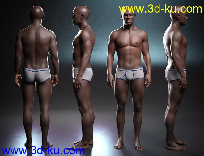 Kola 8.1模型的图片14