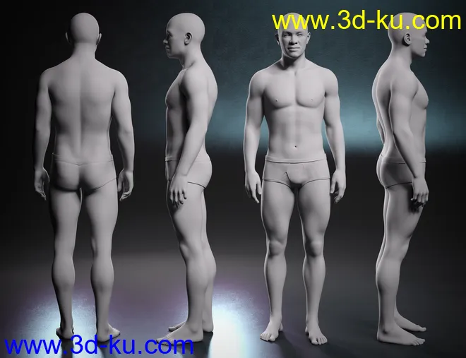 Kola 8.1模型的图片15