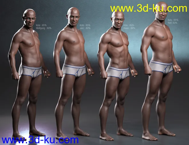 Kola 8.1模型的图片16