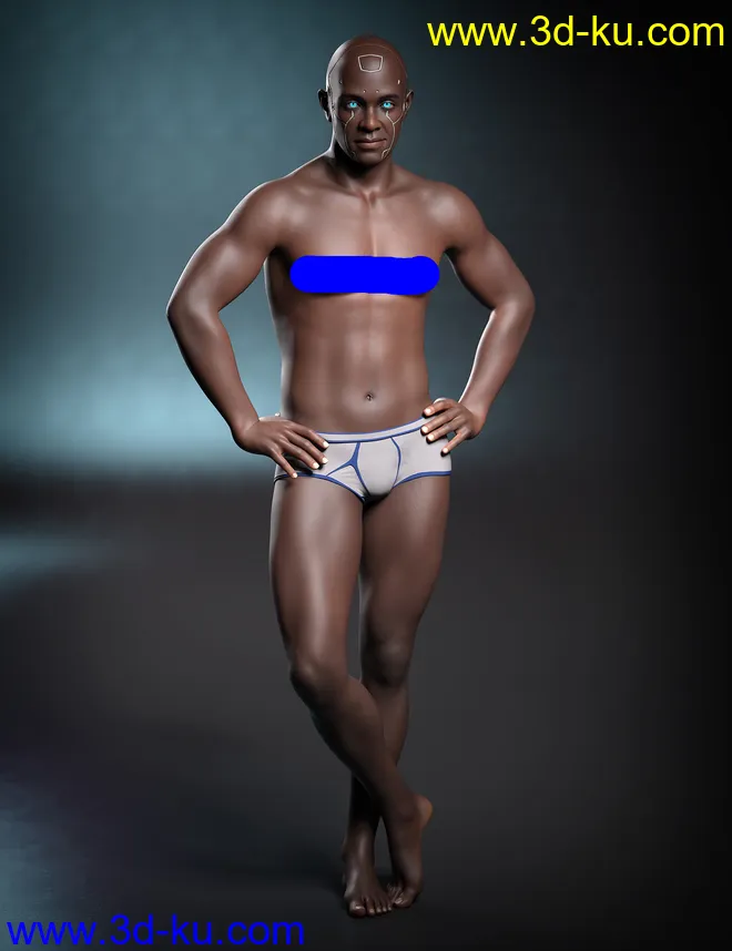 Kola 8.1模型的图片27