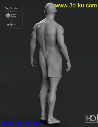 3D打印模型Kola 8.1 HD Add-On的图片