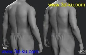 3D打印模型Kola 8.1 HD Add-On的图片