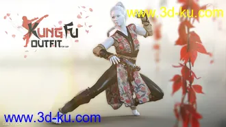 3D打印模型Kung Fu Outfit G8F的图片