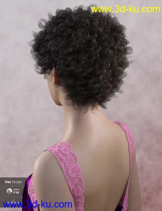 3D打印模型Leon Hair for Genesis 8 Female(s)的图片