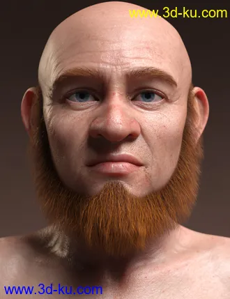 3D打印模型Leprechaun Beard and Brows for Genesis 8.1 Males的图片