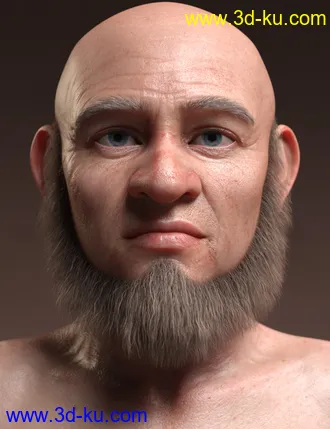 3D打印模型Leprechaun Beard and Brows for Genesis 8.1 Males的图片