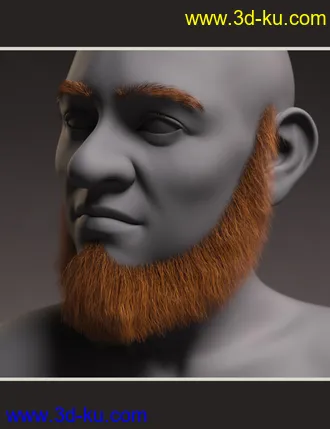 3D打印模型Leprechaun Beard and Brows for Genesis 8.1 Males的图片