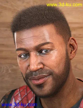 3D打印模型LI Amenadiel Hair for Genesis 8 Male(s)的图片