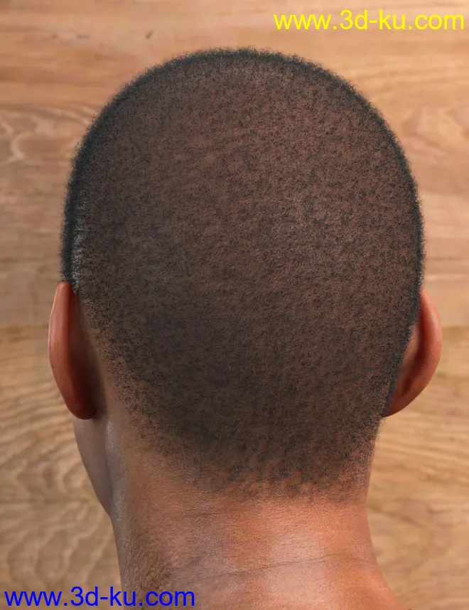 LI Amenadiel Hair for Genesis 8 Male(s)模型的图片3