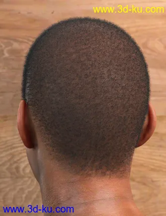 3D打印模型LI Amenadiel Hair for Genesis 8 Male(s)的图片