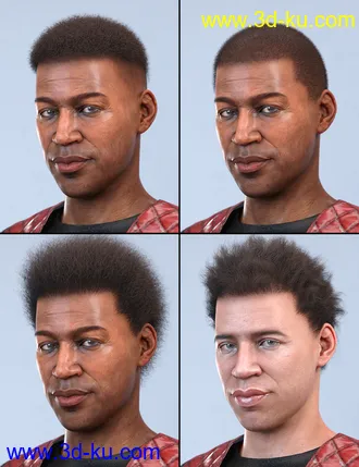 3D打印模型LI Amenadiel Hair for Genesis 8 Male(s)的图片
