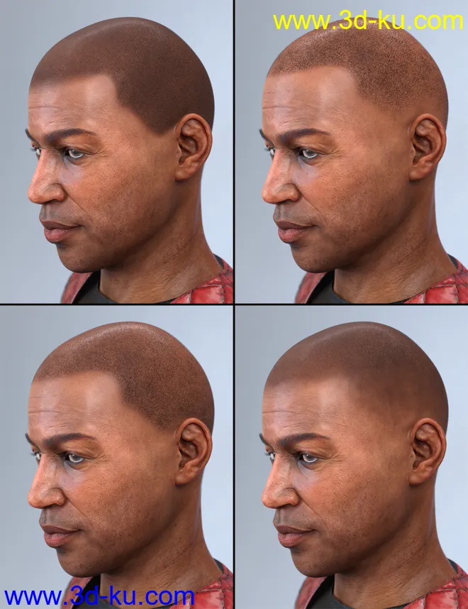 LI Amenadiel Hair for Genesis 8 Male(s)模型的图片10