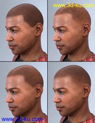 3D打印模型LI Amenadiel Hair for Genesis 8 Male(s)的图片