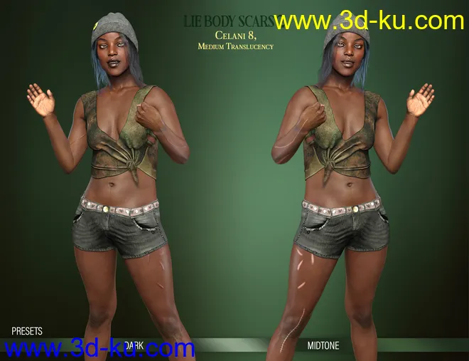 LIE Body Scars 2 for Genesis 3 and 8 Females模型的图片3