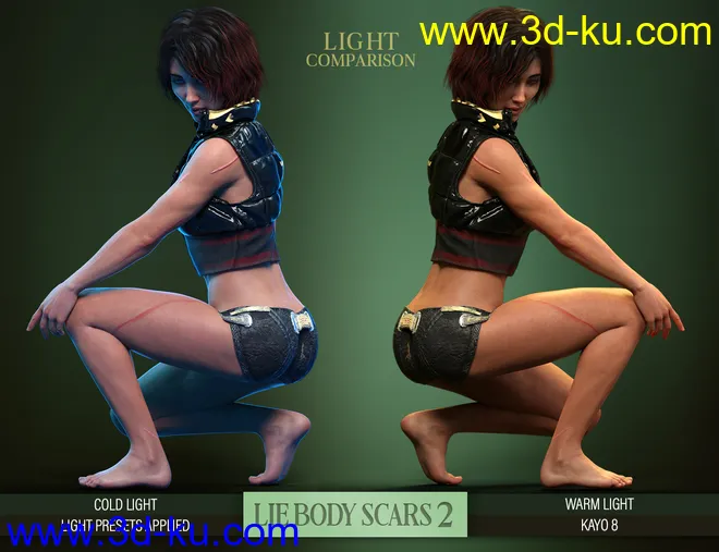 LIE Body Scars 2 for Genesis 3 and 8 Females模型的图片5