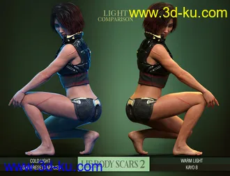 3D打印模型LIE Body Scars 2 for Genesis 3 and 8 Females的图片
