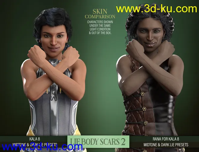 LIE Body Scars 2 for Genesis 3 and 8 Females模型的图片6