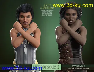 3D打印模型LIE Body Scars 2 for Genesis 3 and 8 Females的图片