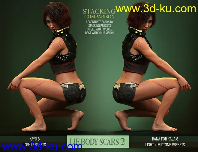 LIE Body Scars 2 for Genesis 3 and 8 Females模型的图片7