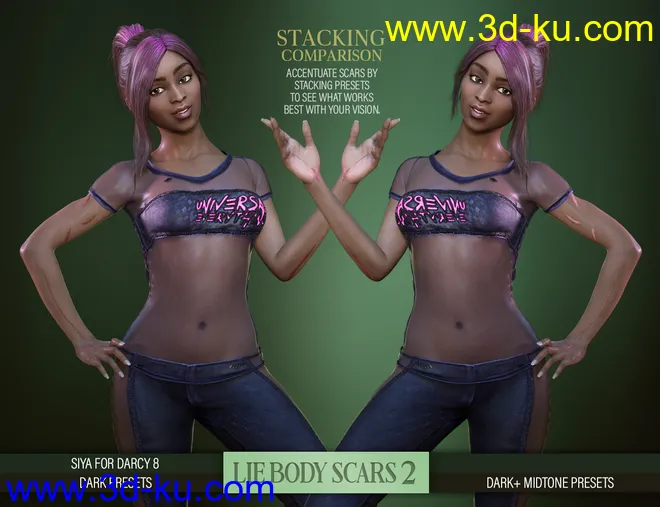 LIE Body Scars 2 for Genesis 3 and 8 Females模型的图片8