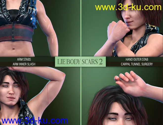 LIE Body Scars 2 for Genesis 3 and 8 Females模型的图片15