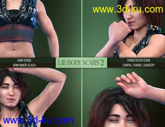 3D打印模型LIE Body Scars 2 for Genesis 3 and 8 Females的图片