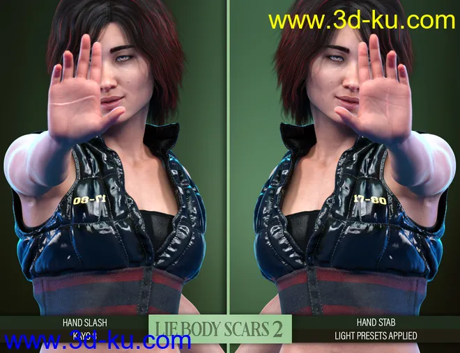 LIE Body Scars 2 for Genesis 3 and 8 Females模型的图片16