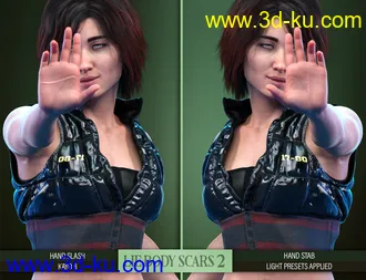 3D打印模型LIE Body Scars 2 for Genesis 3 and 8 Females的图片