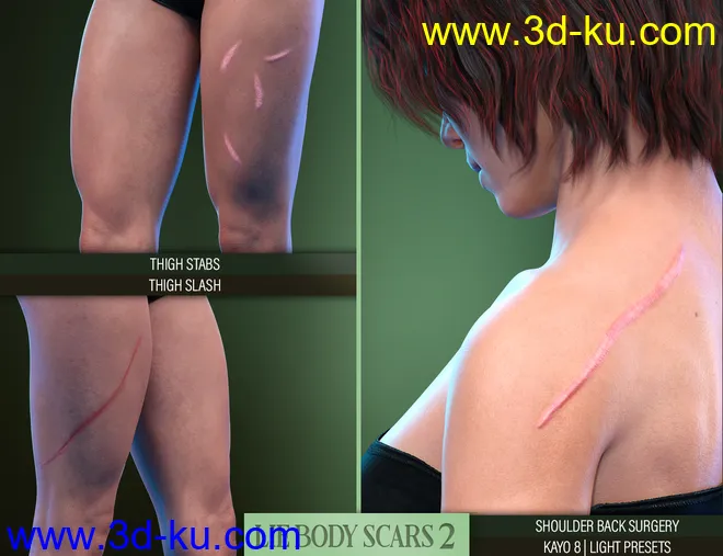 LIE Body Scars 2 for Genesis 3 and 8 Females模型的图片17