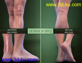 3D打印模型LIE Body Scars 2 for Genesis 3 and 8 Females的图片