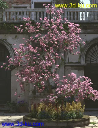 3D打印模型Magnificent Magnolia Trees的图片