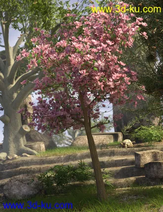 3D打印模型Magnificent Magnolia Trees的图片