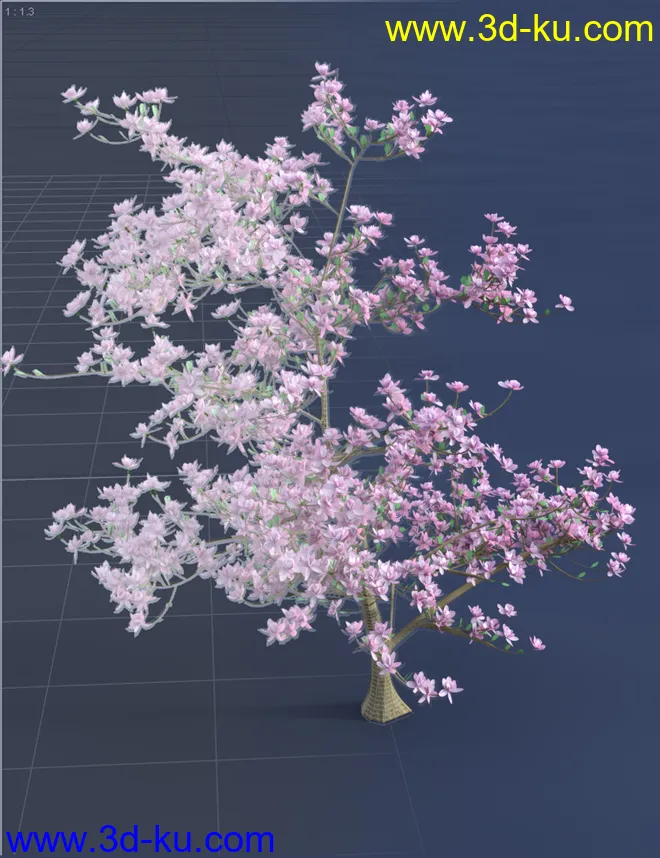 Magnificent Magnolia Trees模型的图片4