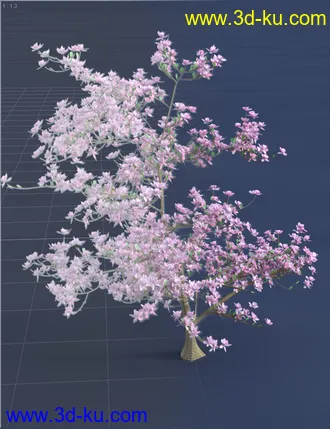 3D打印模型Magnificent Magnolia Trees的图片