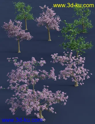 3D打印模型Magnificent Magnolia Trees的图片