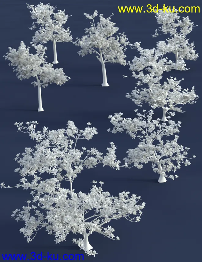 Magnificent Magnolia Trees模型的图片6
