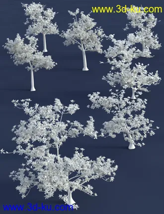 3D打印模型Magnificent Magnolia Trees的图片