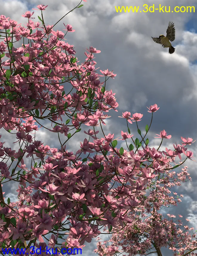 Magnificent Magnolia Trees模型的图片8