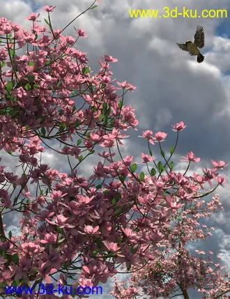 3D打印模型Magnificent Magnolia Trees的图片