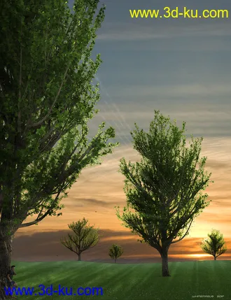 3D打印模型Maple Trees的图片