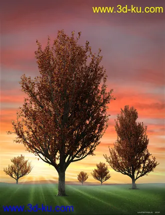 3D打印模型Maple Trees的图片