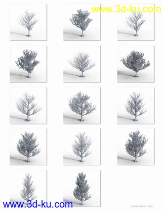 3D打印模型Maple Trees的图片