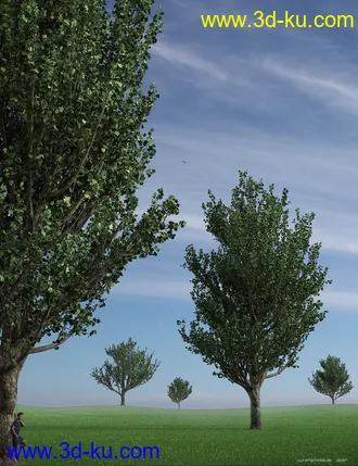 3D打印模型Maple Trees的图片